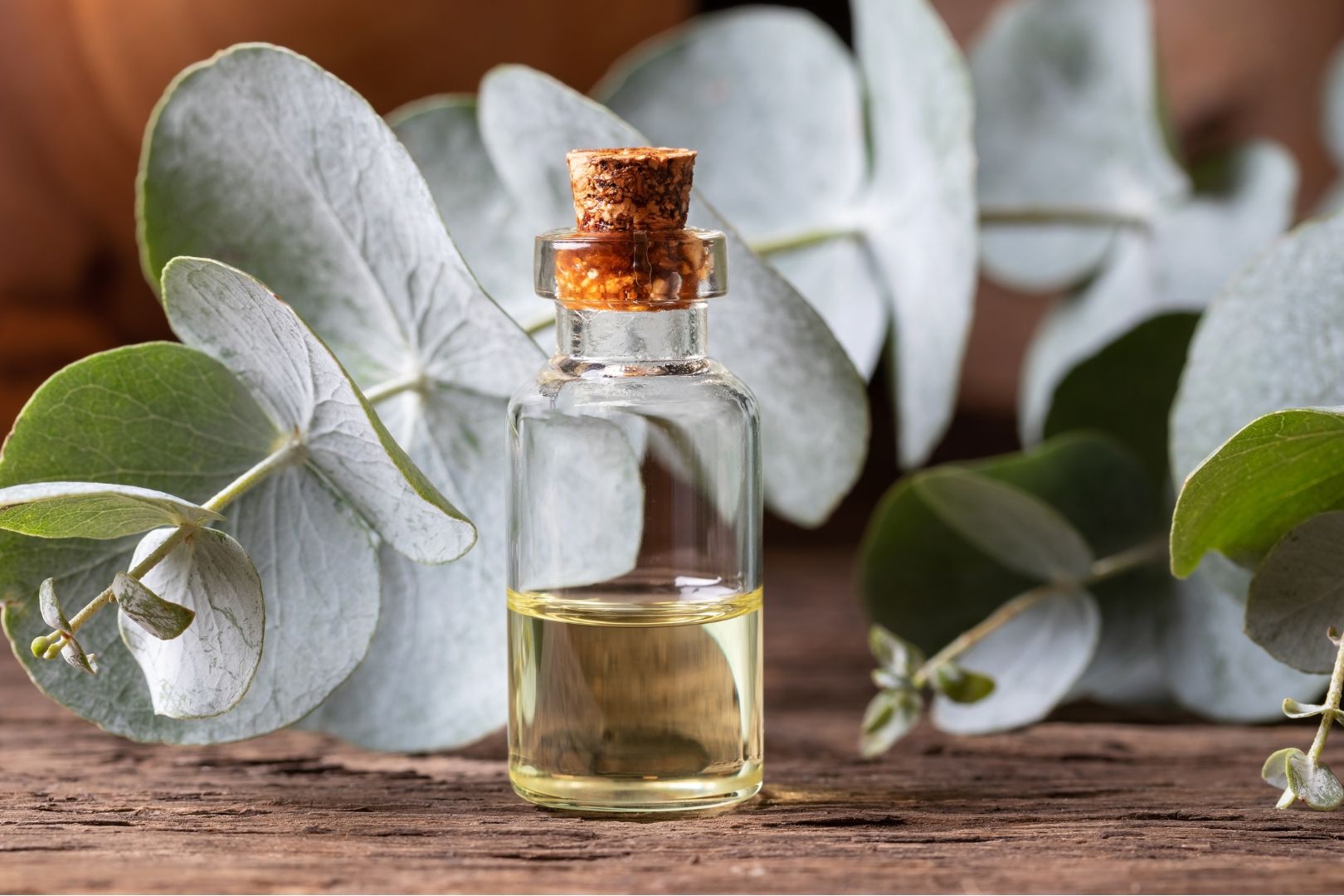 Huile d'eucalyptus