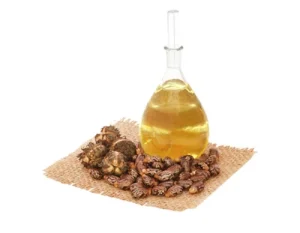 Huile de pépins de raisin bio